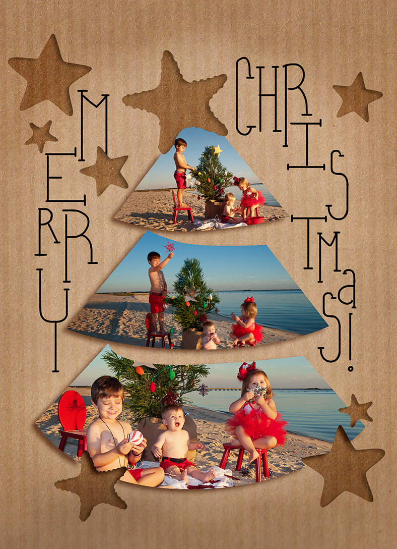 FreeLance Ganey » Barry Family Christmas Card